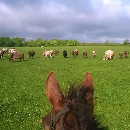 Battens Farm Cottages B&B Yatton Keynell Extérieur photo