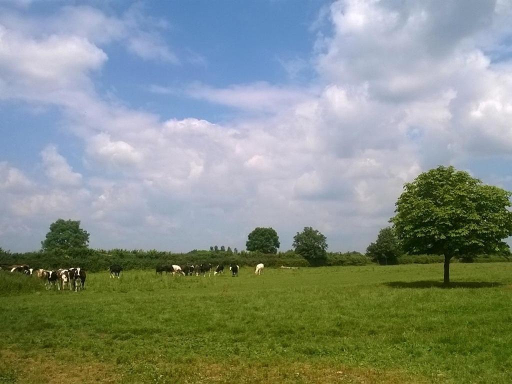 Battens Farm Cottages B&B Yatton Keynell Extérieur photo