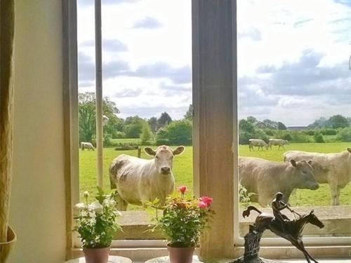 Battens Farm Cottages B&B Yatton Keynell Extérieur photo
